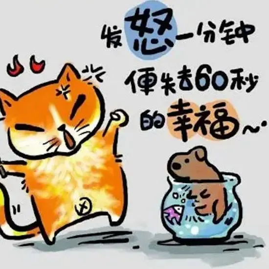金山网站推广